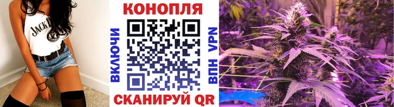 Купить где  Мурино  Конопля сатива 